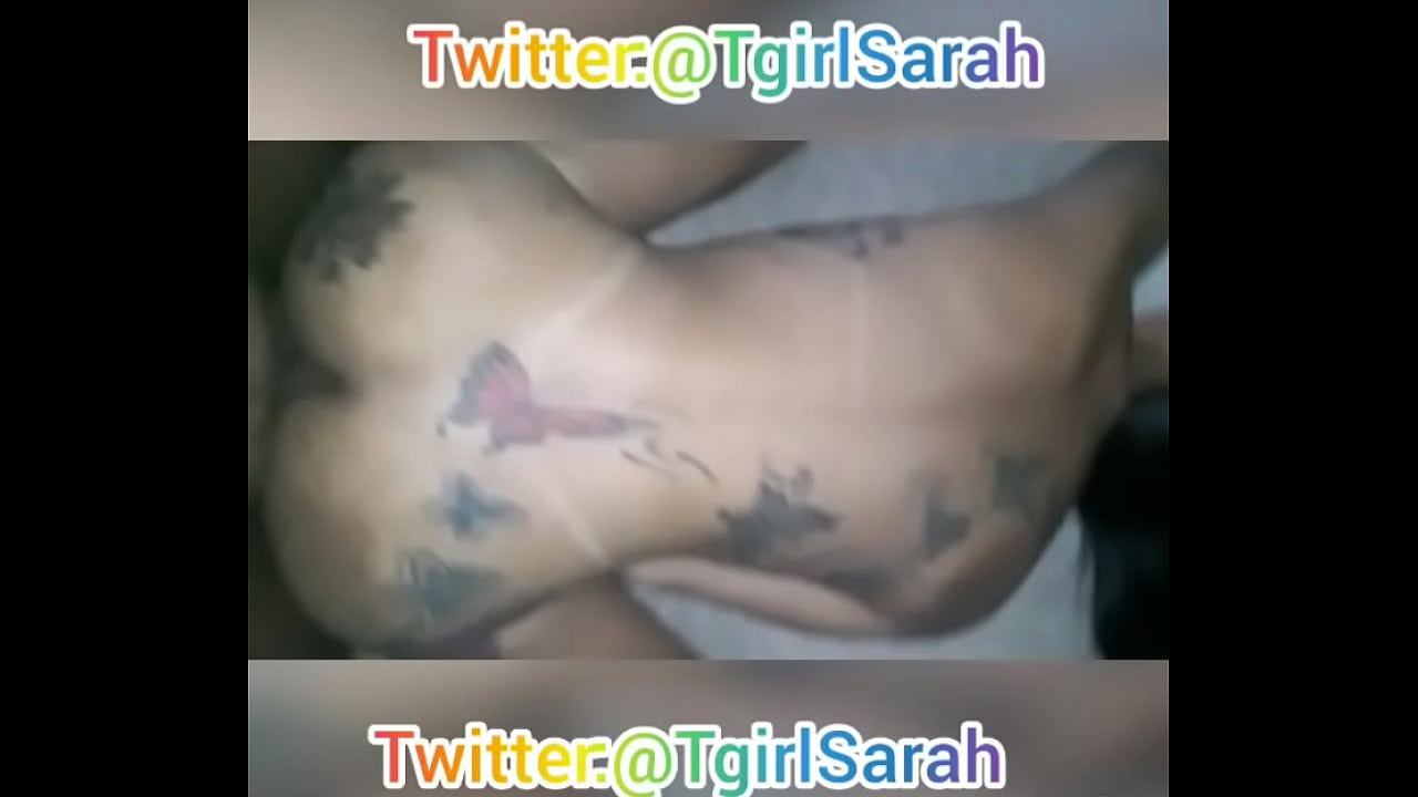 Shemale Brazilians TgirlSarah
