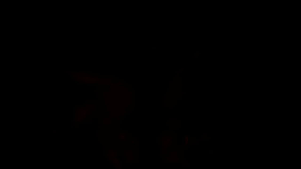 Cogidita espectacular