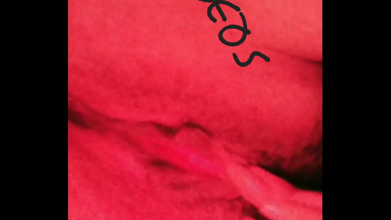 V&iacute;deo de verificaci&oacute;n