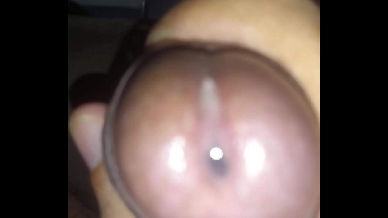 Meu brinquedo pela manh&atilde; precisa de carinho