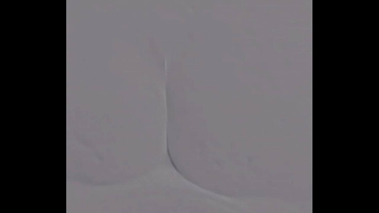 Doggy em Thuy&ecirc;n b&iacute;m kh&iacute;t