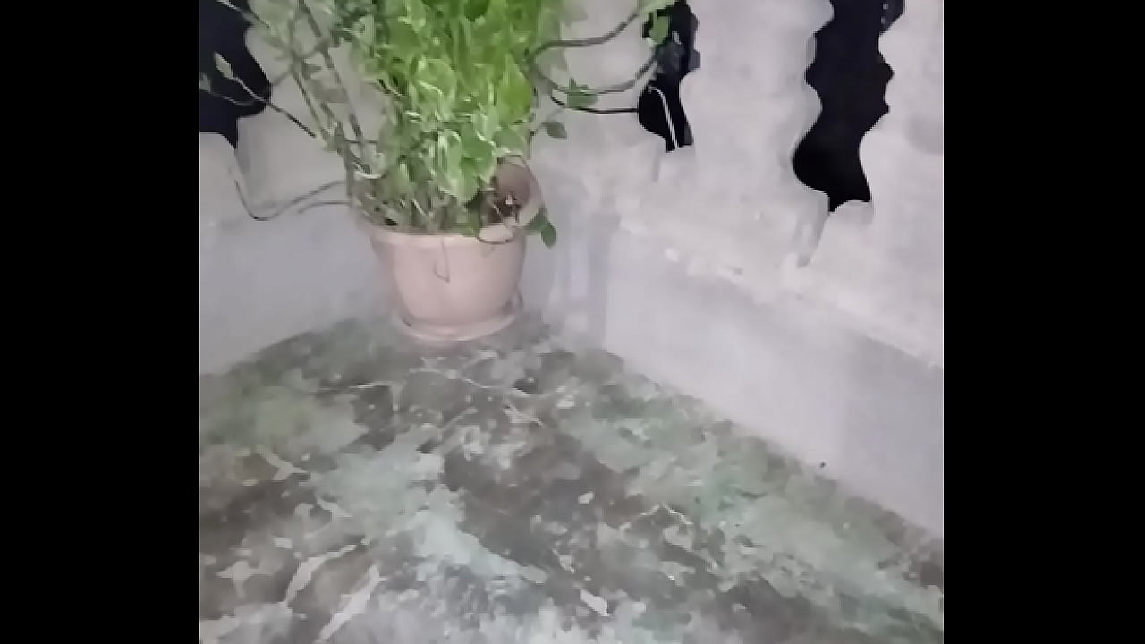 V&iacute;deo de verificaci&oacute;n