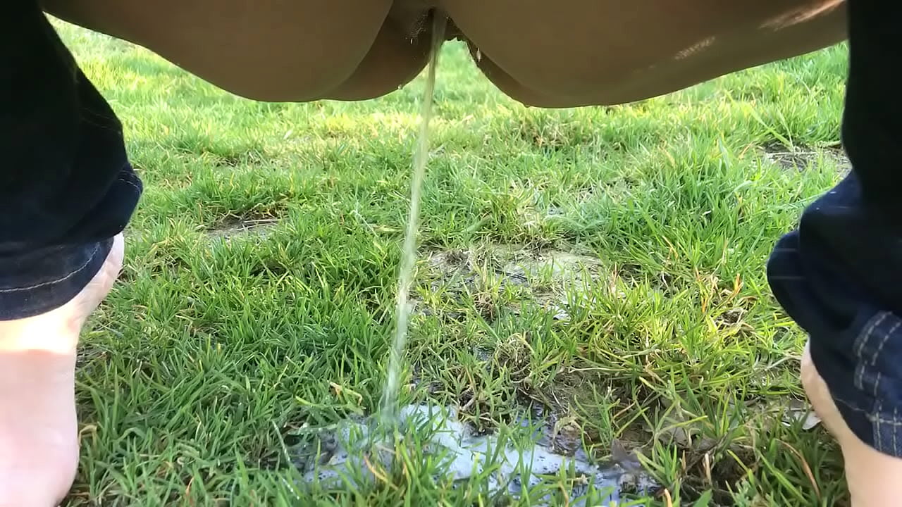 Pipi p&aring; gr&aelig;s i Jylland