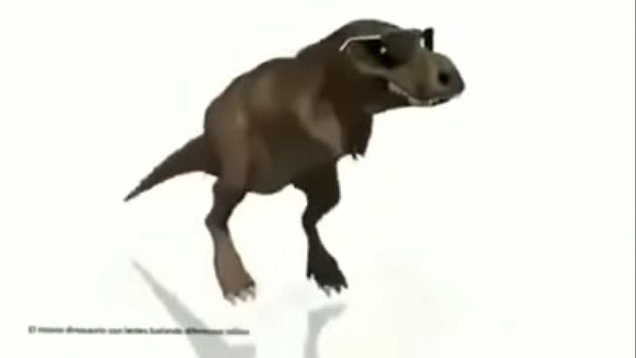 Rebolando a raba enquanto usa &oacute;culos de sol