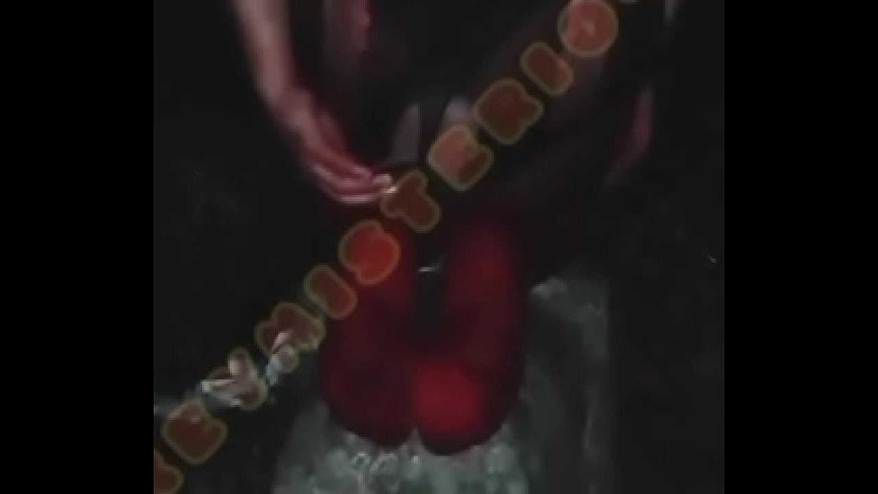 Reymisterio422 - Incada en un bordillo en el bosque- 1000288937 - Mar 12, 2025