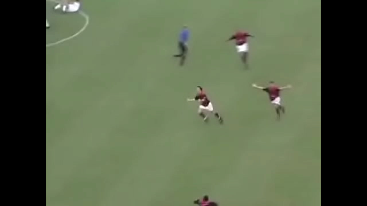 Pet fode A boceta dos vascainos