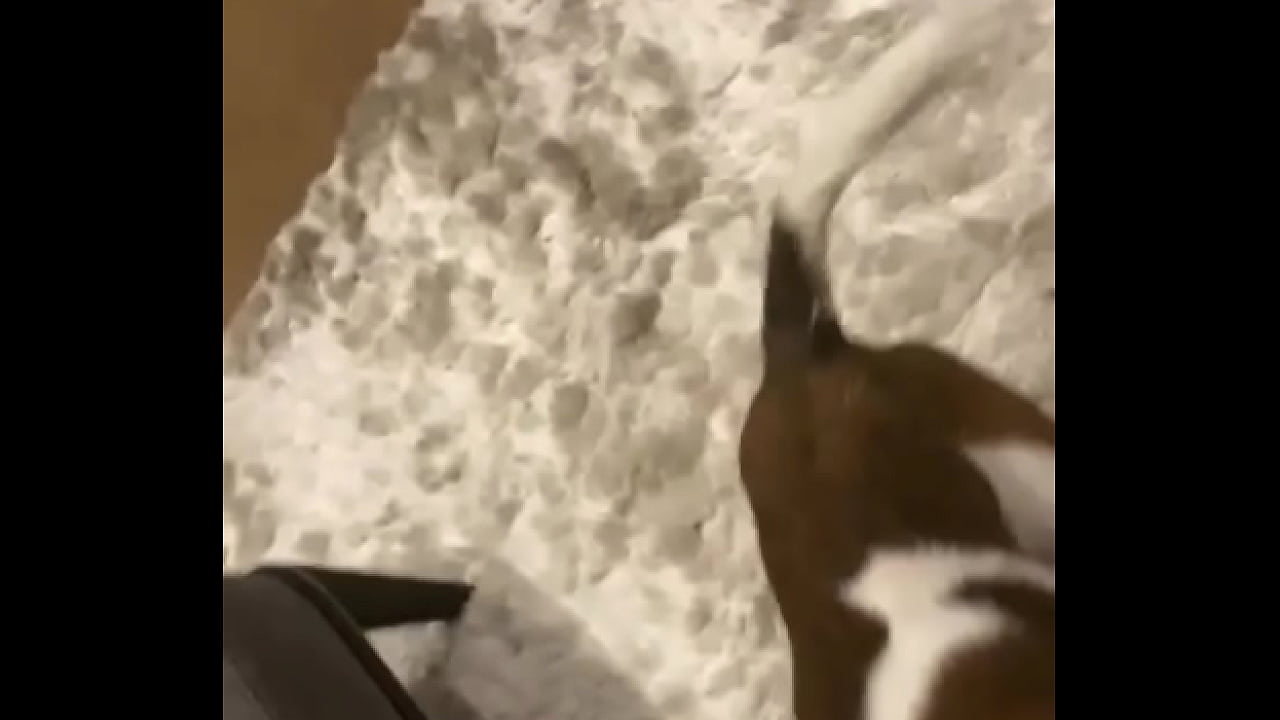 I know a guy who has his own private jet, he wants to take me to Malibu for dinner at Nobu tomorrow night for dinner with ...