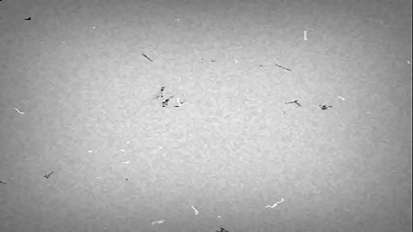 trim.D873BB8B-75E9-4CD8-A691-6FFB56447FA8.MOV