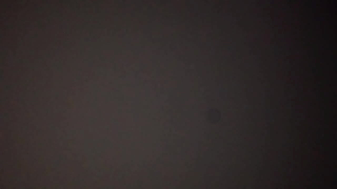 trim.84A88414-3CA4-4DD0-8A30-CFD285C84B3A.MOV