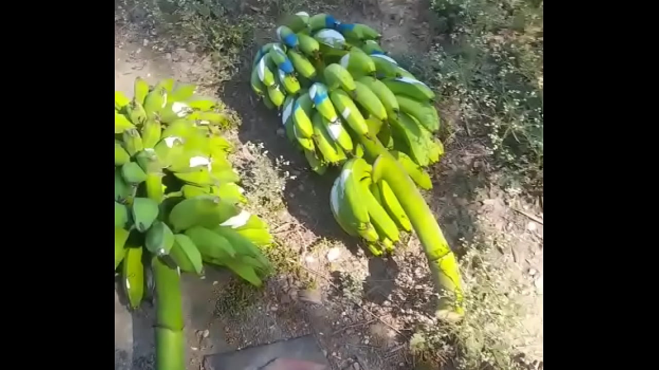 Follando rico con mi suegra antes que venga mi novia