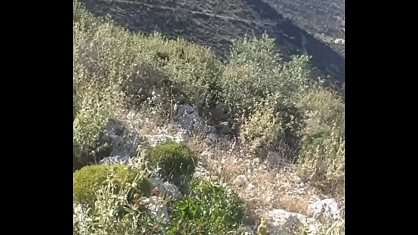 6942872233 if in greece.if not in greece 00306942872233