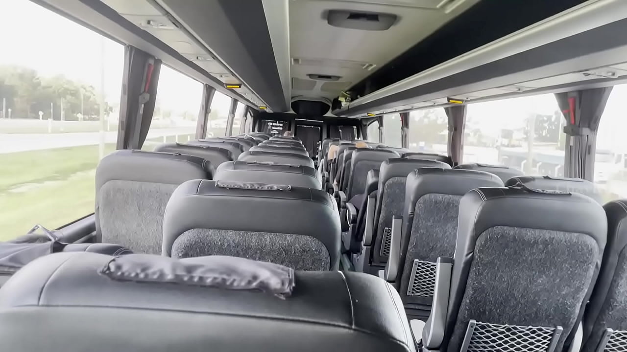 Se la chup&eacute; en el bus