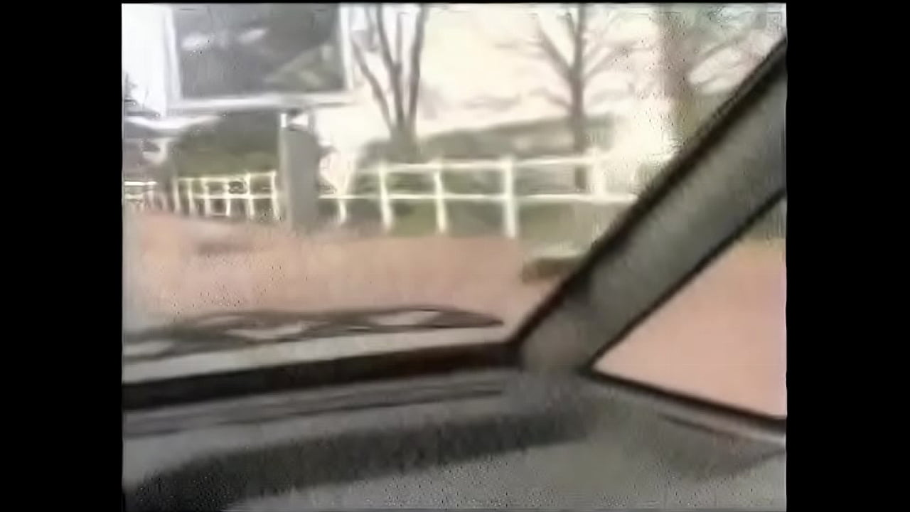 French amateur porno