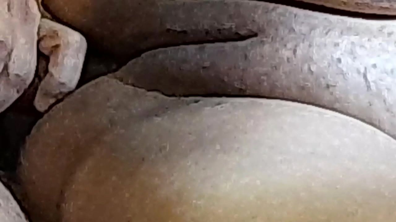 Casal brasileiros safados Pt 9 - Formiguinha Safada