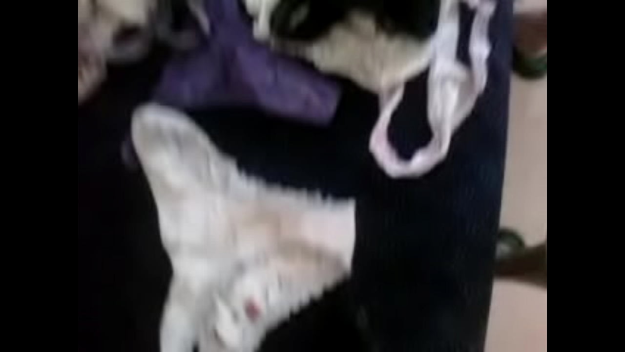 cumshot sisterrr pantiess