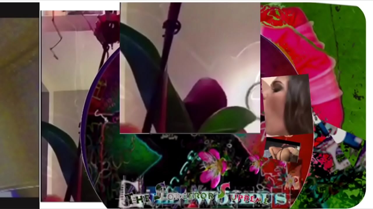 Gully Wompus soloboy Video for girls only  wakking off - sorry