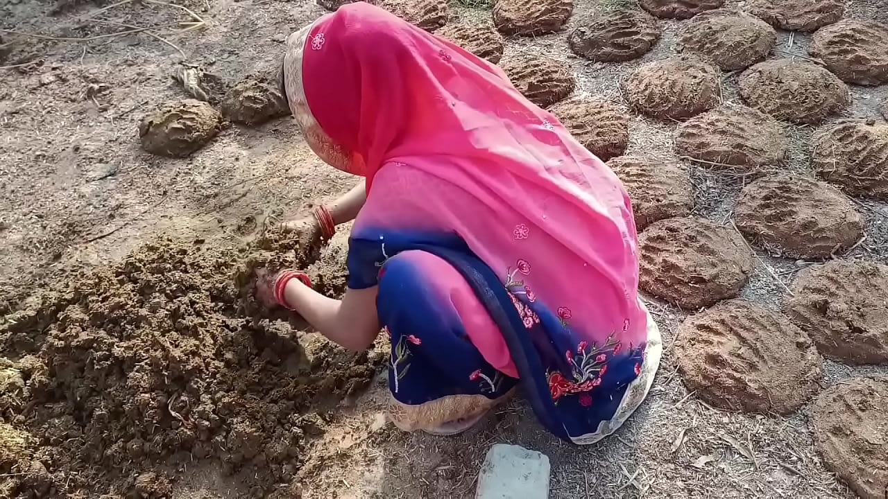 गांव वाली भाभी गांव किनारे गोवर थोपने गई चूत मरवाने लगी