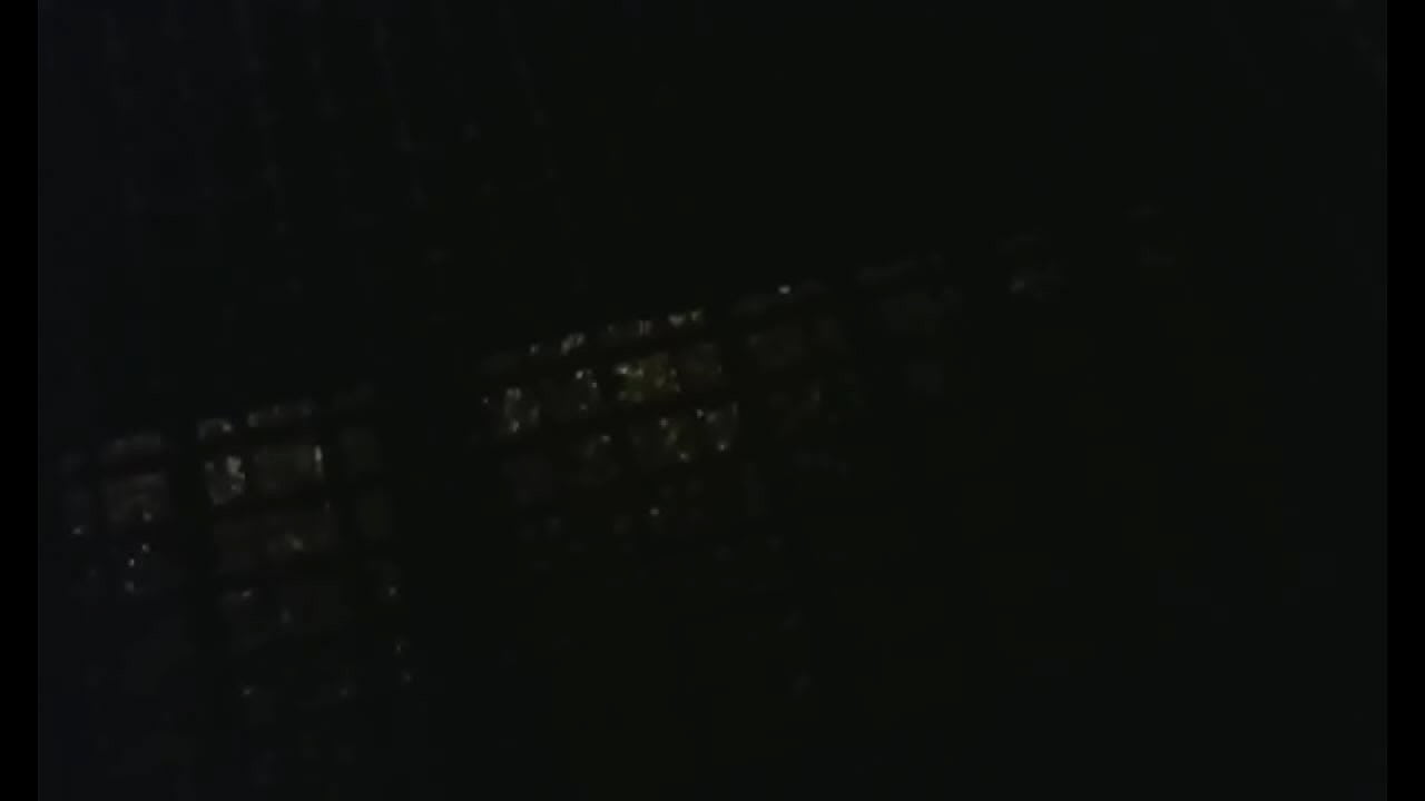 Natty Daddy Crosses America