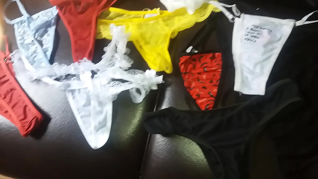cole&ccedil;&atilde;o de lingerie da minha mulher