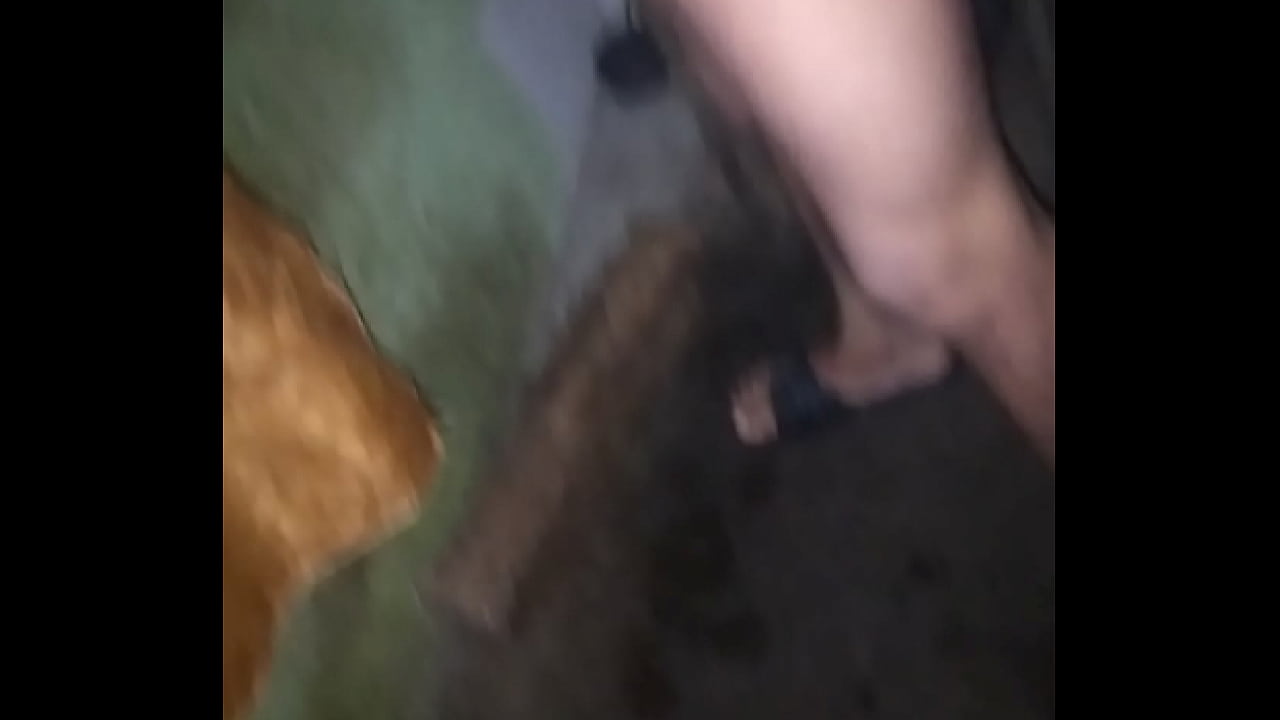 Alguna chica que me acompa&ntilde;e