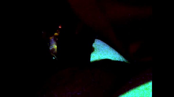 La Putencia Poringocha peteando