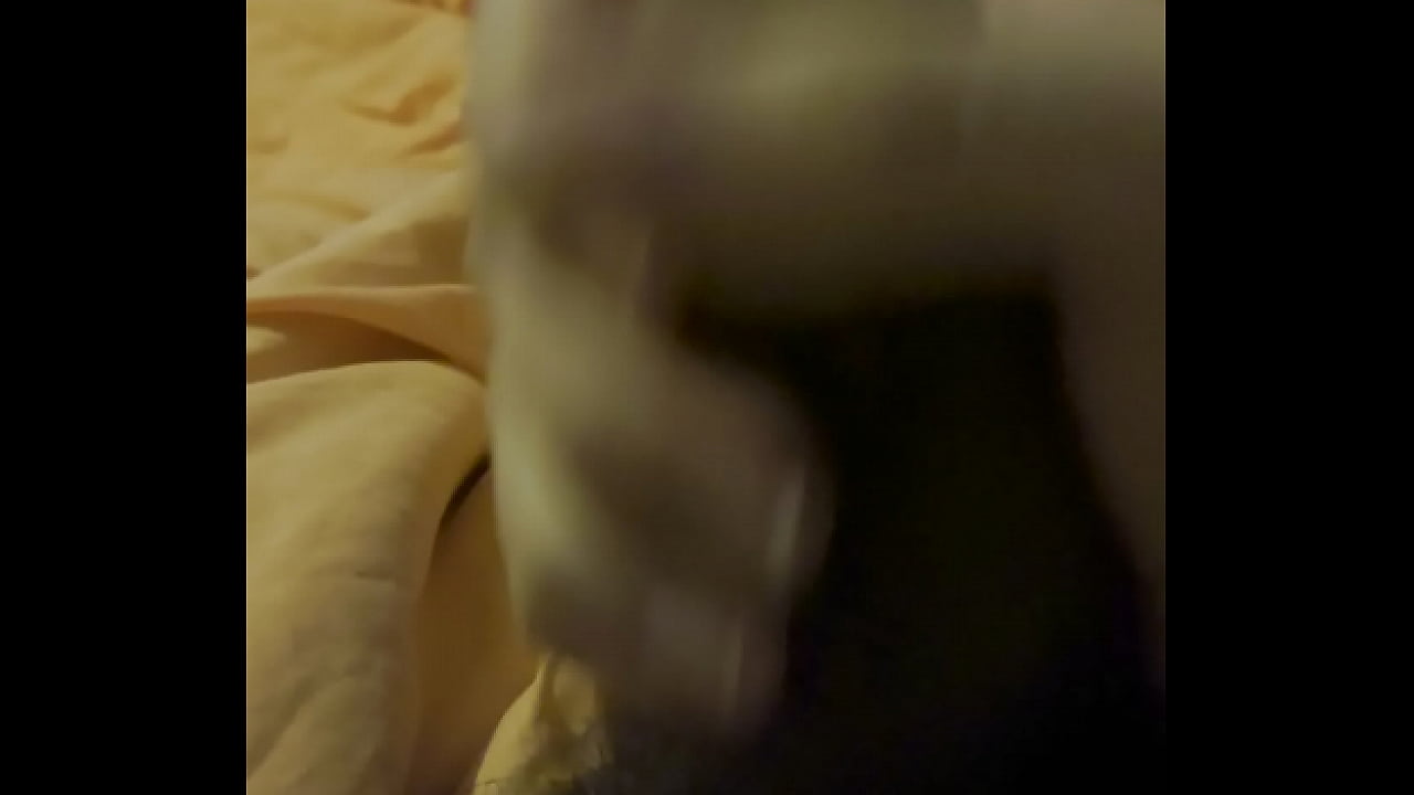 Paja ma&ntilde;anera