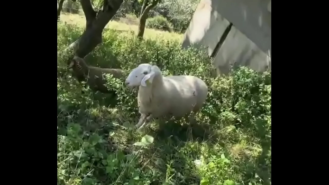 Wild animals spotted while running in nature! ??What&rsquo;s the coolest wildlife you&rsquo;ve encountered on a run?#Natur...