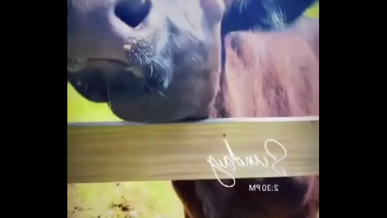 Starting to do more updates on my life through TikTok again. Go follow My birthday volunteering I did for these resc ...