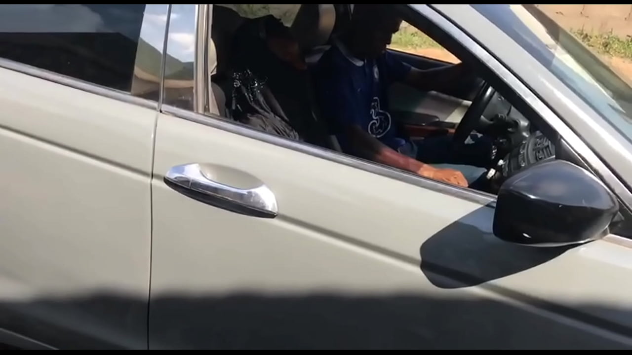 The cheap sloth I picked from the road was offered to my homie to handle