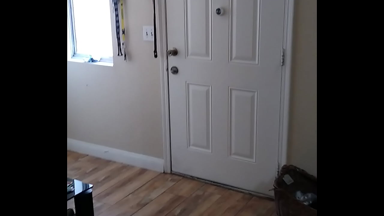 D&iacute;a del amor y la amistad