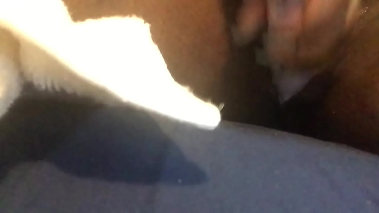 Jasmines good wett  pussy though