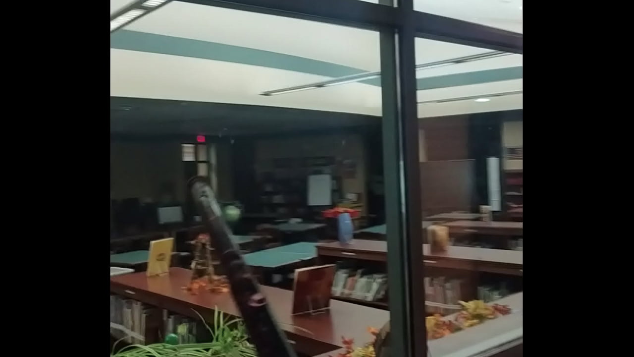 Windows that need to be tinted