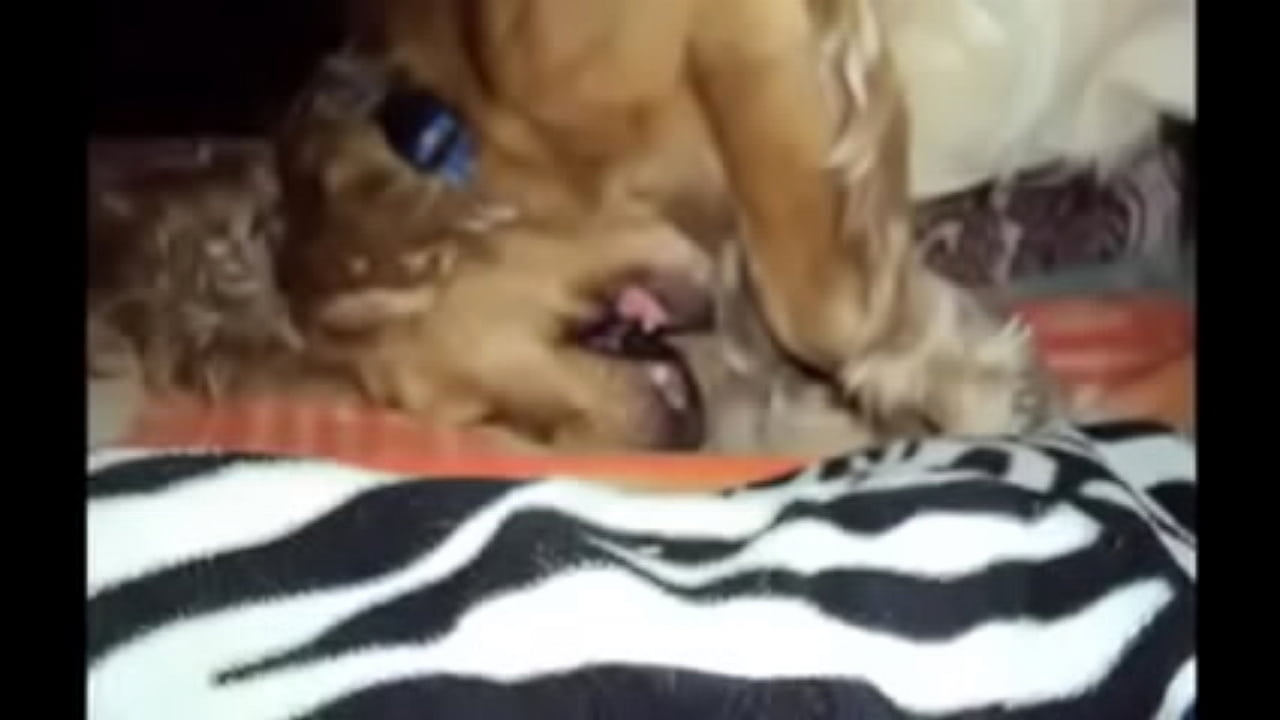 &ETH;&ordm;&Ntilde;&fnof;&ETH;&acute;&Ntilde;&euro;&Ntilde;&ETH;&sup2;&ETH;&deg;&Ntilde; &Ntilde;&ETH;&frac34;&ETH;&plusmn;&ETH;&deg;&ETH;&ordm;&ETH;&deg;