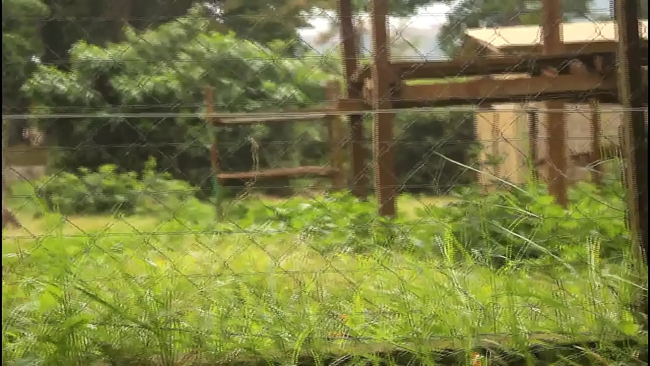 White girl Caroline Sweets gets stretched by BBC in interracial scene - Reality