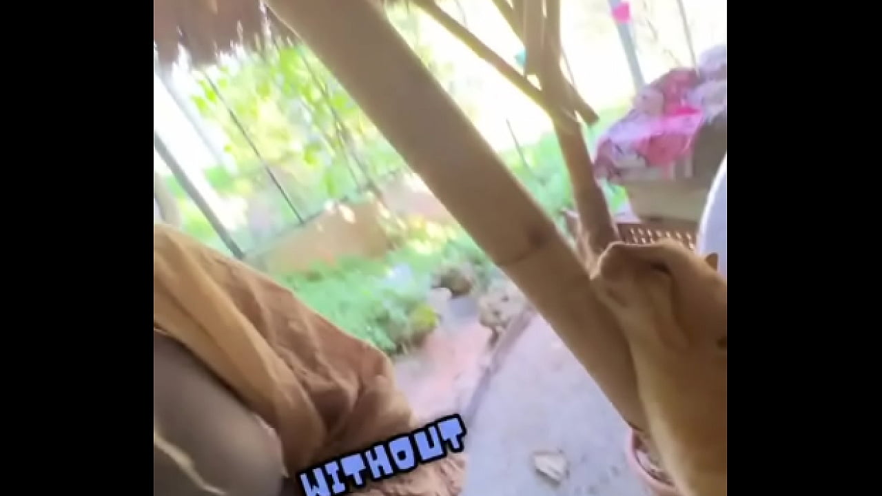 Do you love cats?  In Chiang Mai, there's a beautiful place called suanmeow maewang. Check them out and visit th...