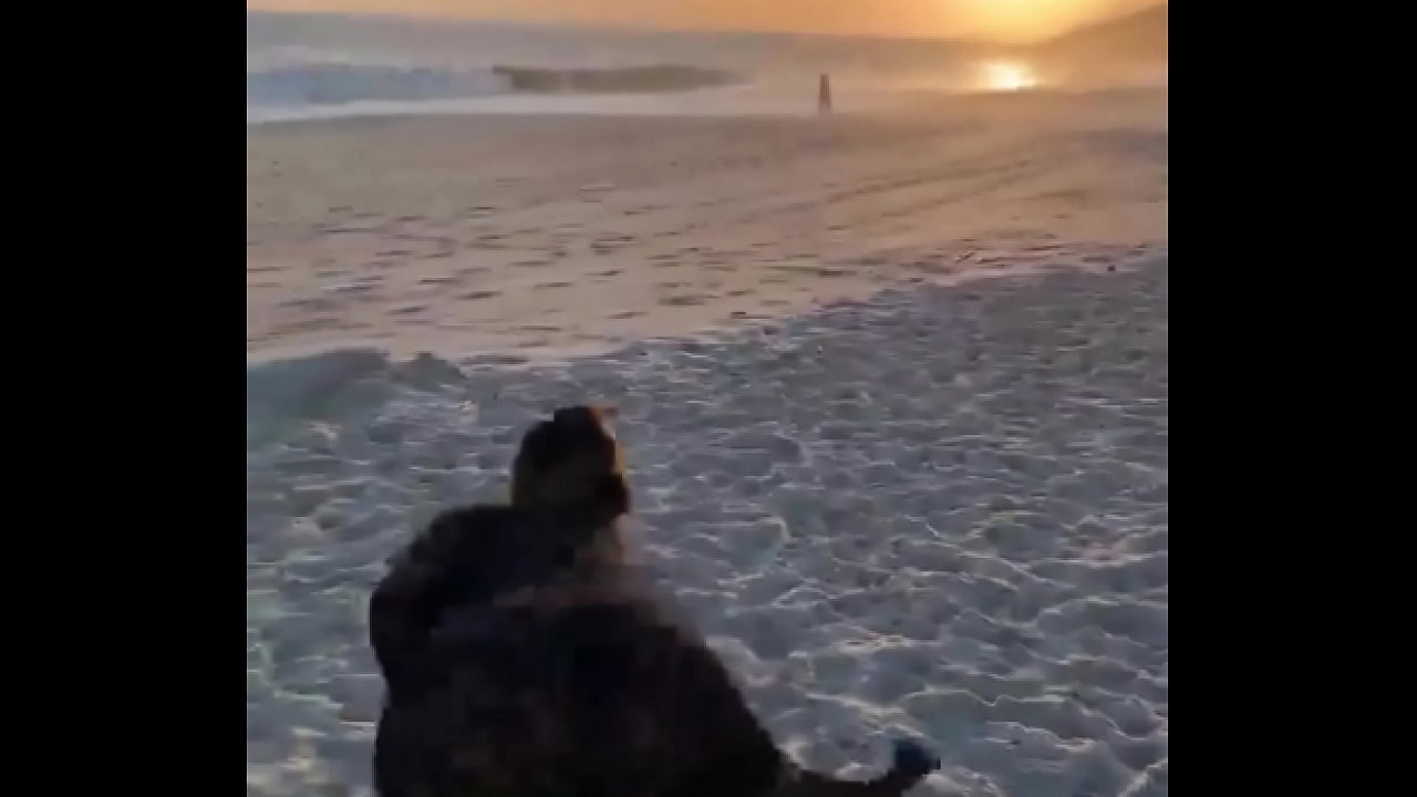 aani rocha dan&ccedil;andoo