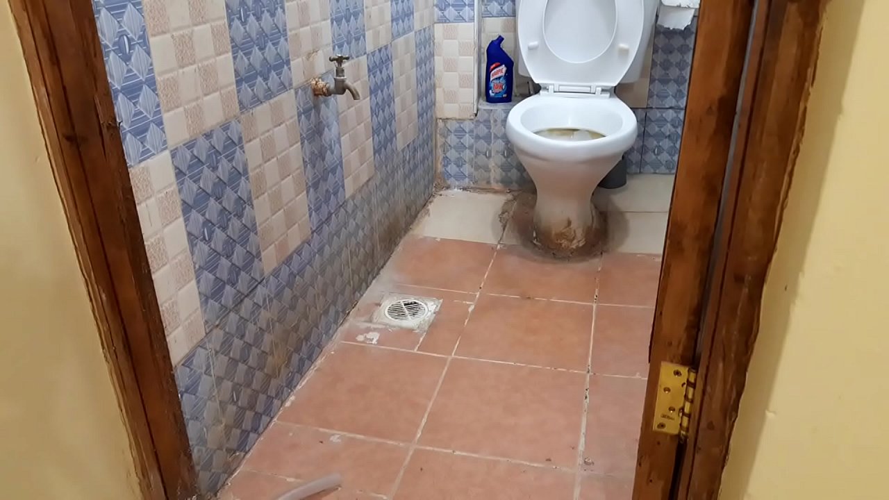 Asshole Spread Open In The Toilet