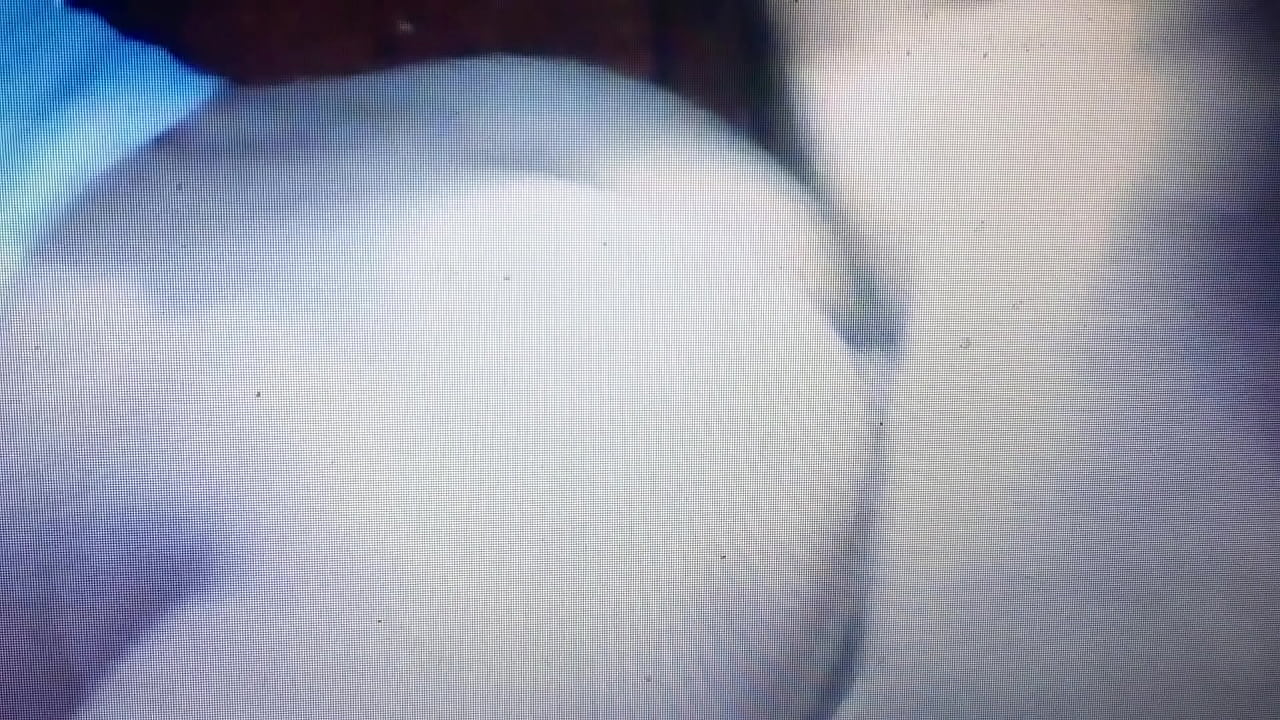 Dildo en la conchita y verga en el culito