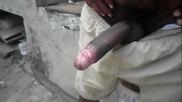 COCK BLACK ERECTA