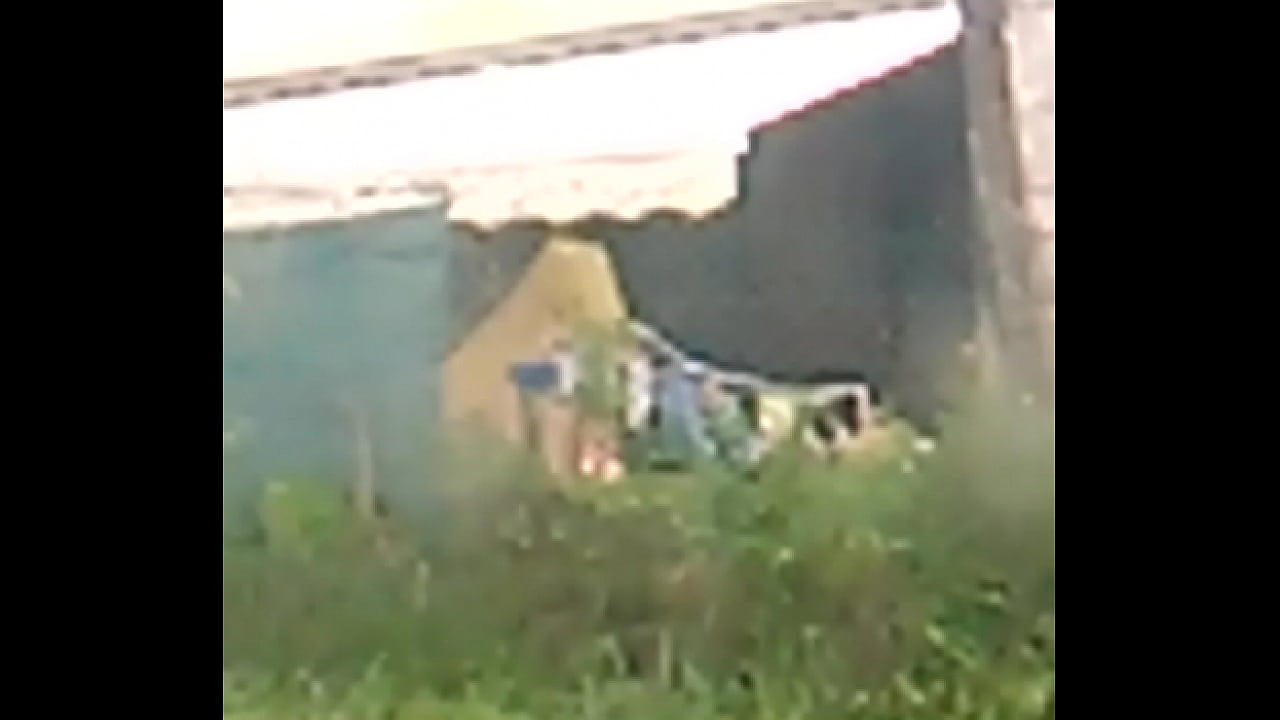 Th&eacute; tits officiel my neighbour