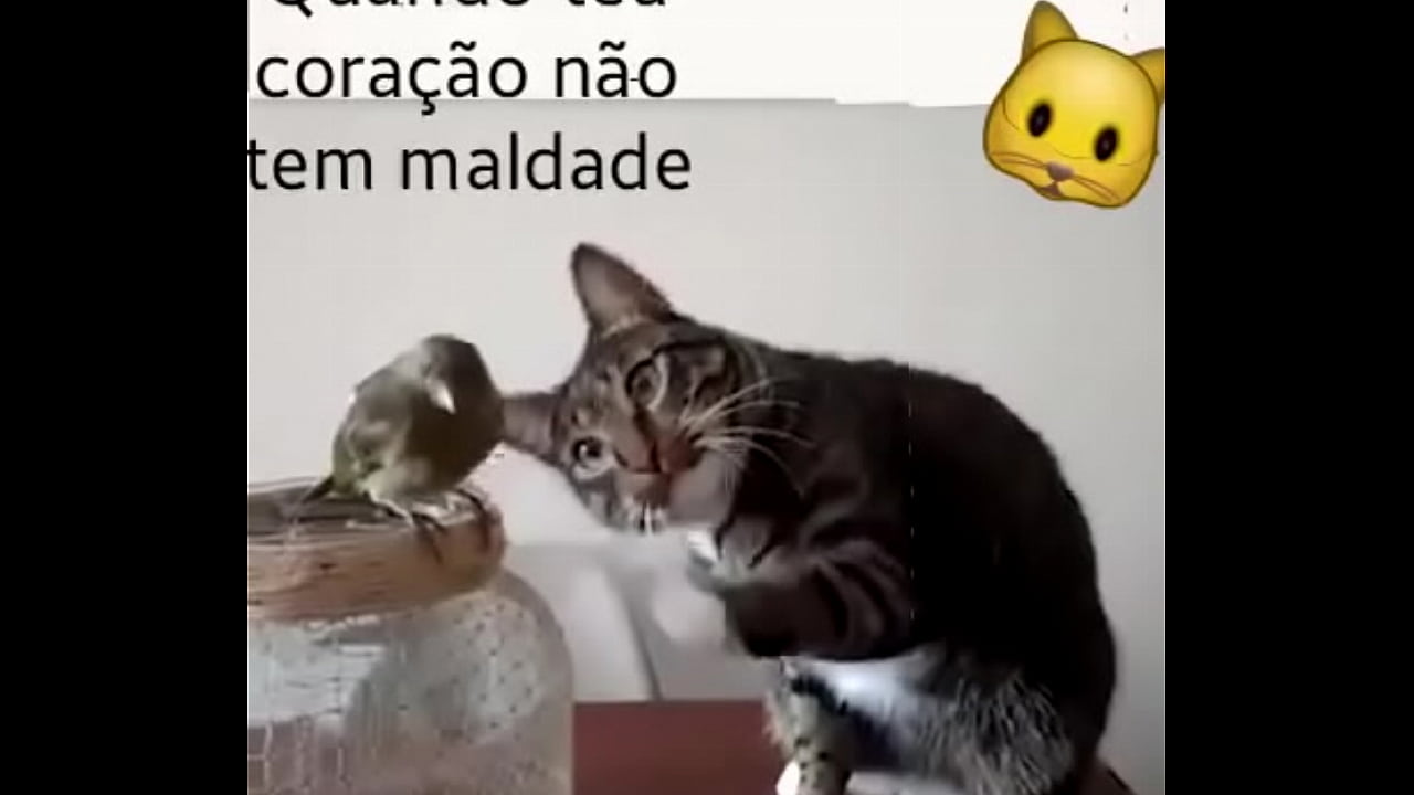 Dotado macho cl&aacute;ssico gostoso