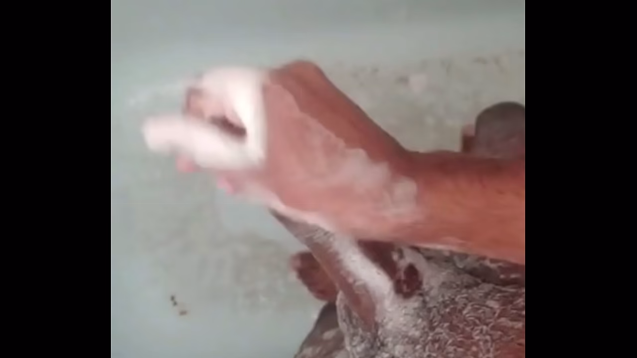 Yo amo pajiarme mira como lo hago de rico,