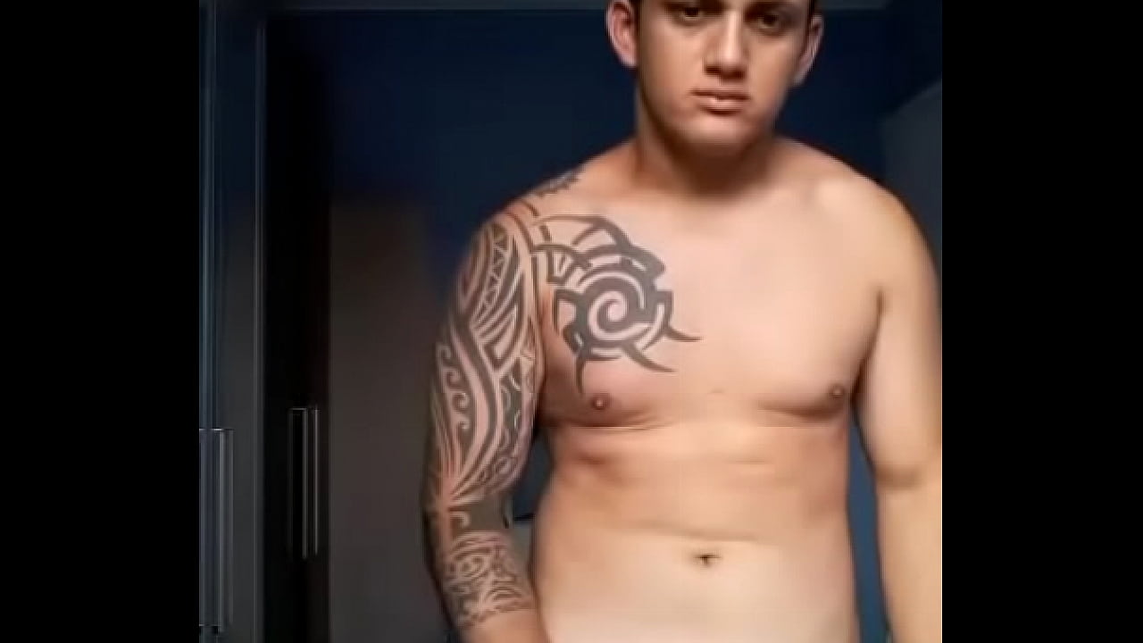 gato dotado brasil favela rio