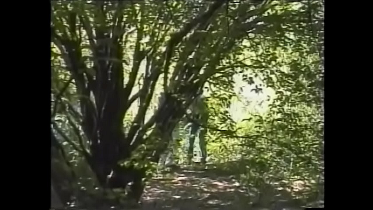 Randy studs under a tree fucking bung hole and giving head before jizzing