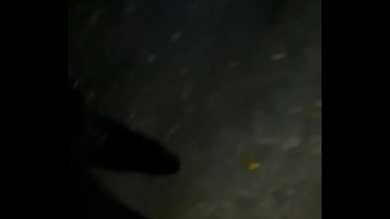 Videoclip verificare