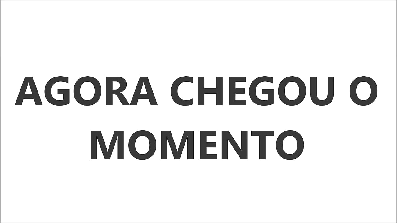 TOP DEZ OS MAIS GATOS DO ZAP