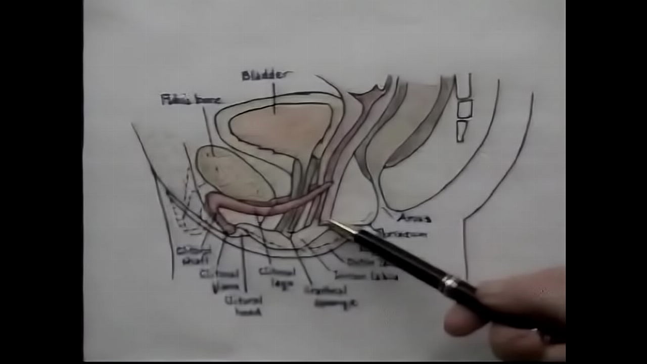 Sex Education Orgasm Training Video