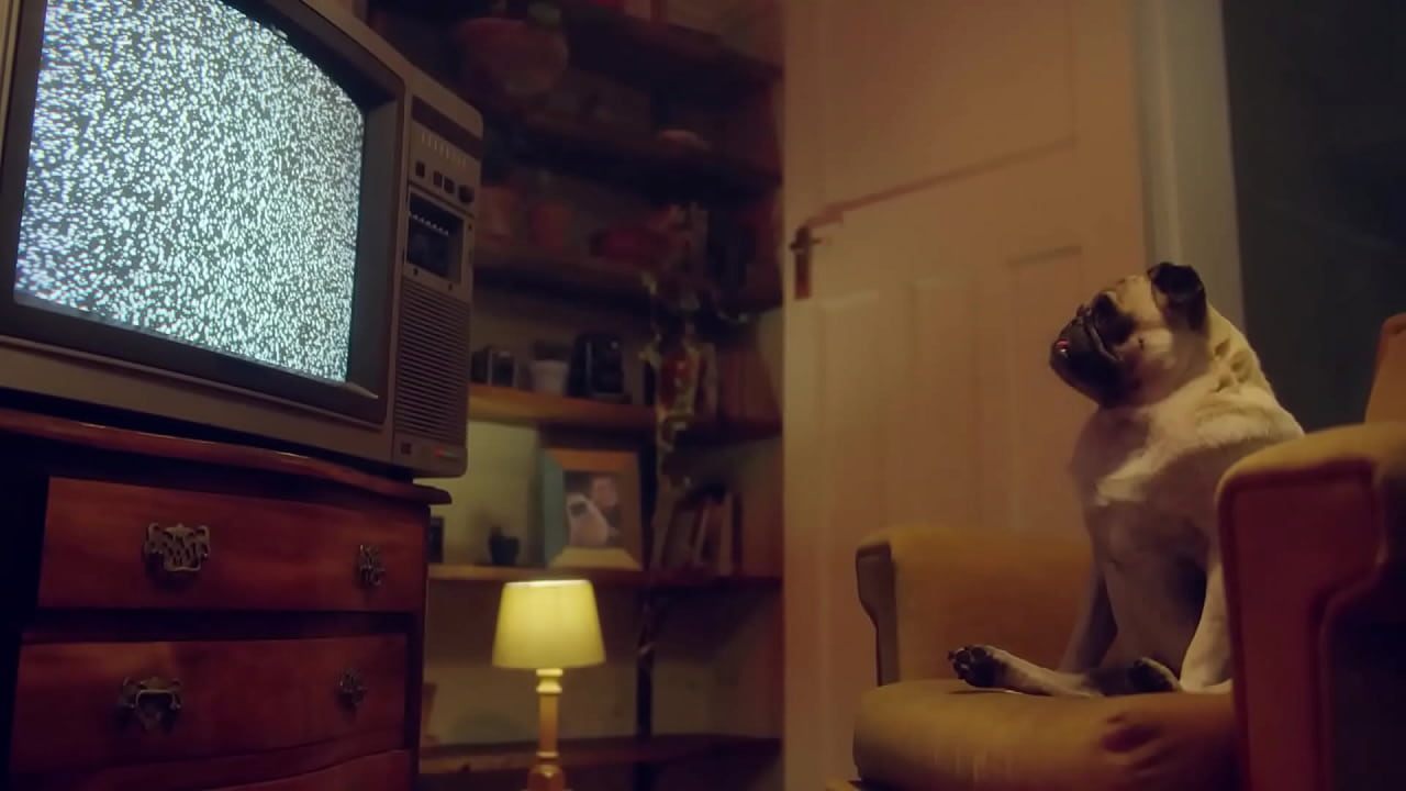 Blowjob in the jacuzzi - Marika Milani gives me a filthy blowjob in a hotel | Benefit Monkey