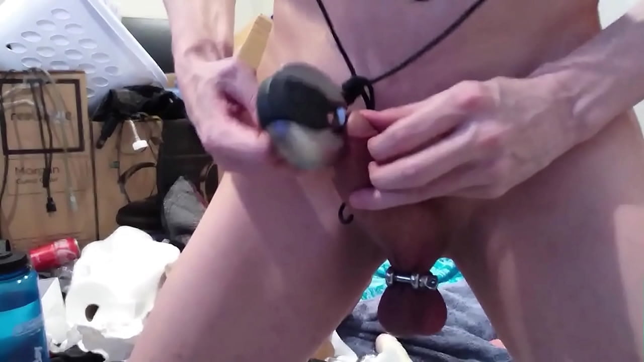 Training my slut ass with huge objects and toys and nipple clamps baseball training