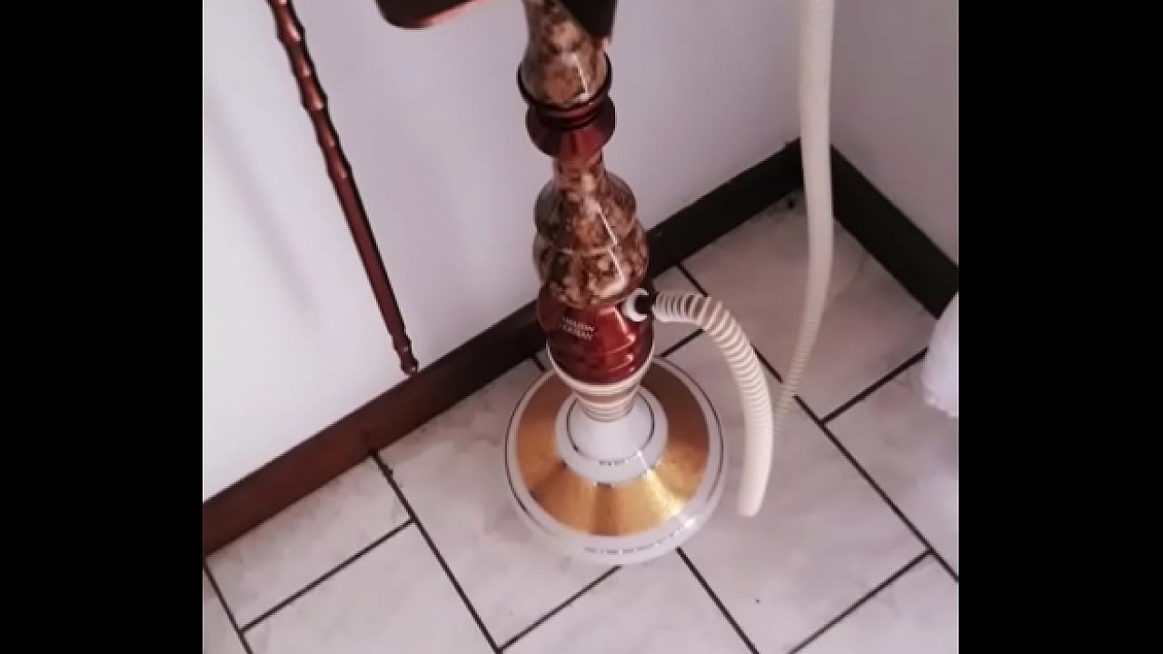 Ninfeta chupando piroca